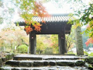秋月の紅葉